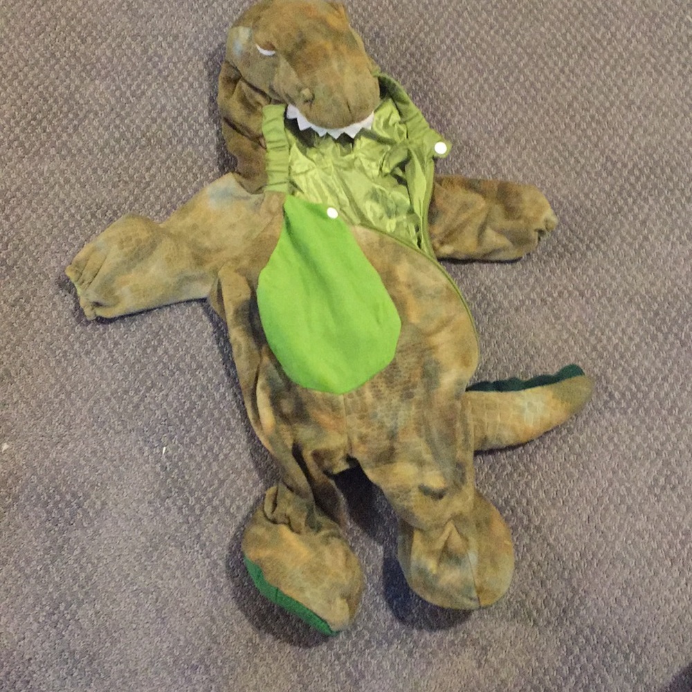 Dinosaur Halloween Costume 6 months